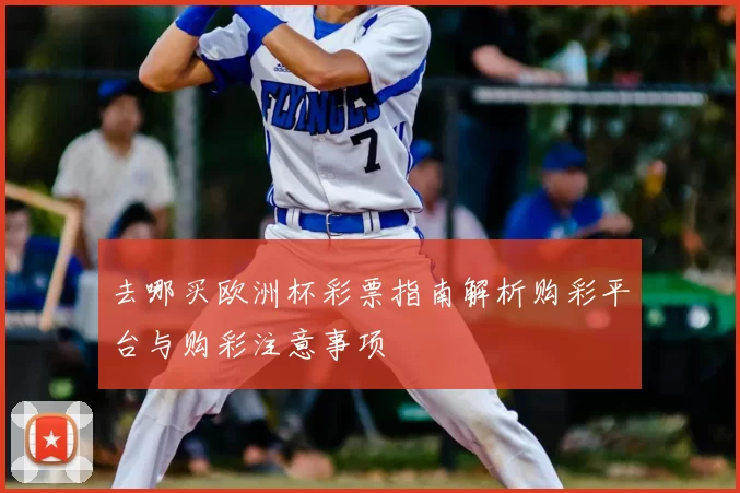 去哪买欧洲杯彩票指南解析购彩平台与购彩注意事项