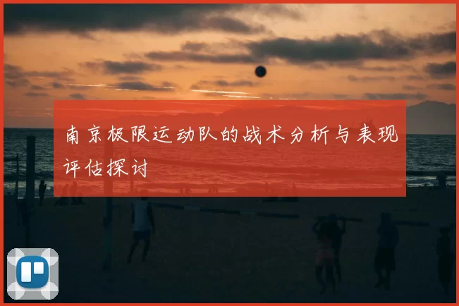 南京极限运动队的战术分析与表现评估探讨