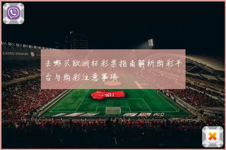 去哪买欧洲杯彩票指南解析购彩平台与购彩注意事项