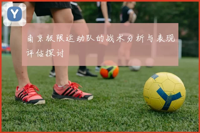南京极限运动队的战术分析与表现评估探讨