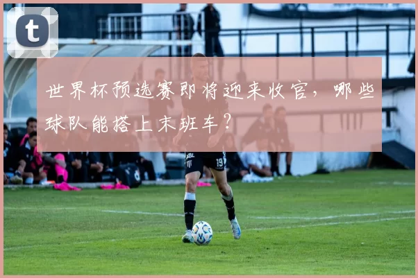 世界杯预选赛即将迎来收官，哪些球队能搭上末班车？