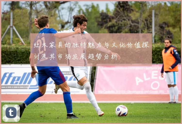 红木家具的独特魅力与文化价值探讨及其市场发展趋势分析